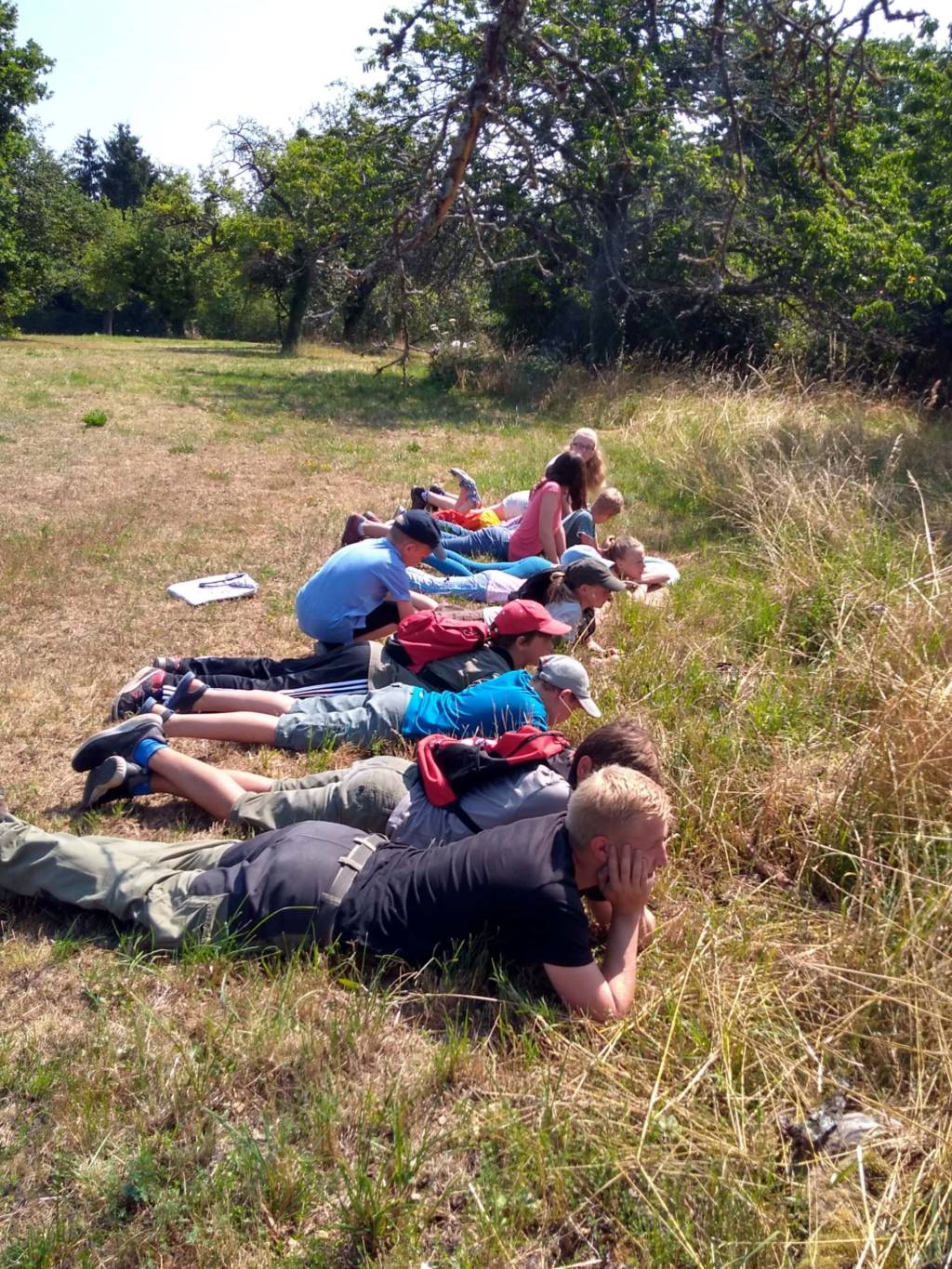 Kinder beobachten eine Wiese