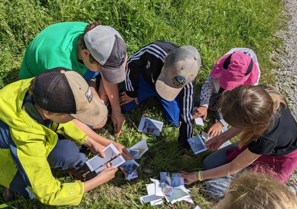 Kinder bestimmen anhand von Fotos Vögel